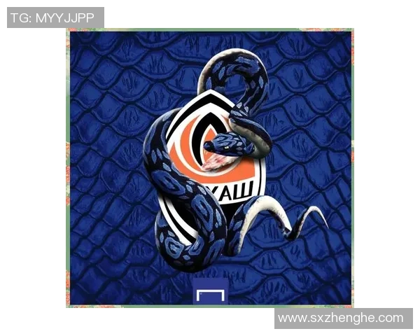 卡通版足球明星米兰的奇幻冒险之旅与梦想成真的故事