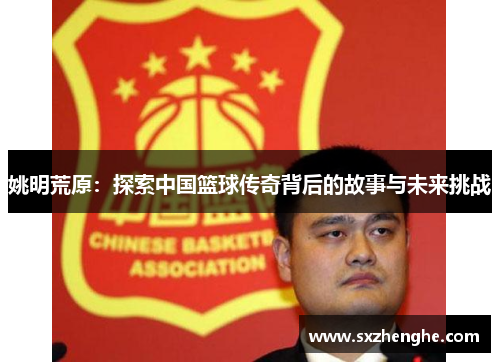 姚明荒原：探索中国篮球传奇背后的故事与未来挑战