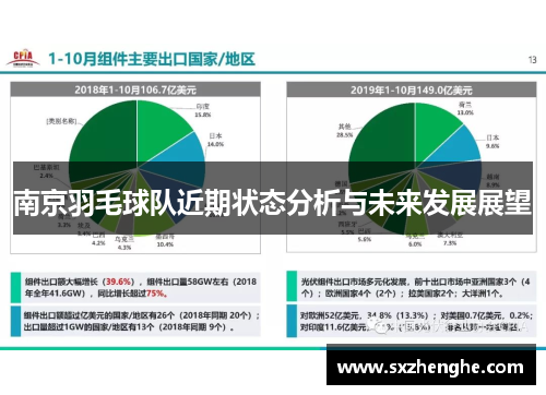 南京羽毛球队近期状态分析与未来发展展望
