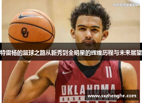 特雷杨的篮球之路从新秀到全明星的辉煌历程与未来展望